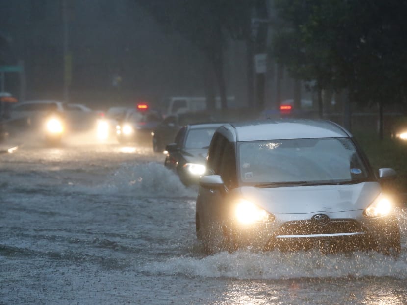 Singapore is a low-lying island that is especially vulnerable to the threat of rising sea levels.