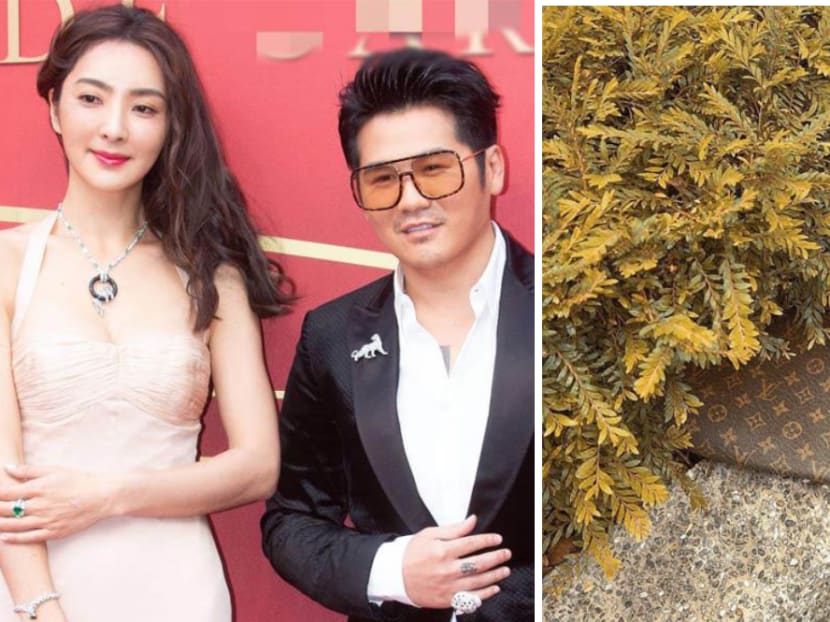 Gary Chaw’s Wife Finds Her Louis Vuitton Bag Lying In A Bush More Than 20 Days After Losing It