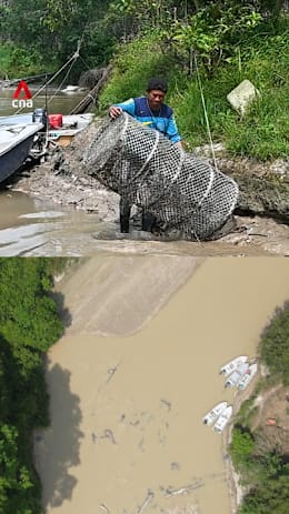 ‘Can’t even get 1 cent’: Fishermen’s livelihoods affected by Johor River pollution