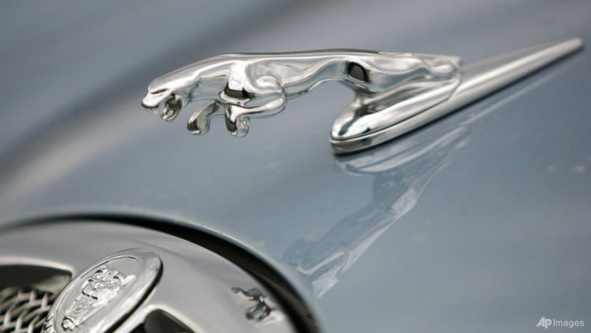 Radical Jaguar rebrand and new logo sparks ire online Radical Jaguar rebrand and new logo sparks ire online