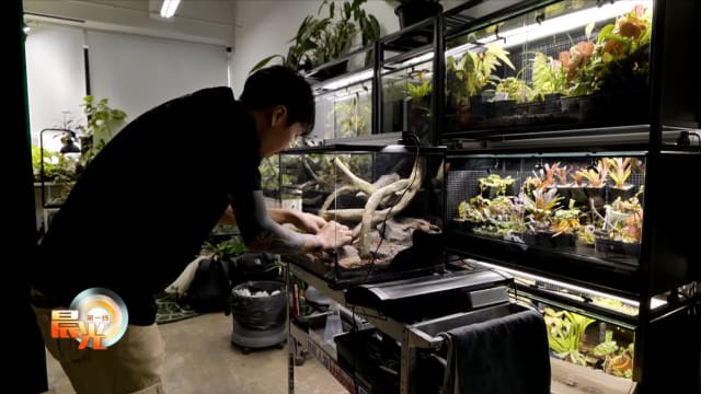 晨光|玩物壮志：设计师打造水陆缸 把大自然带回家