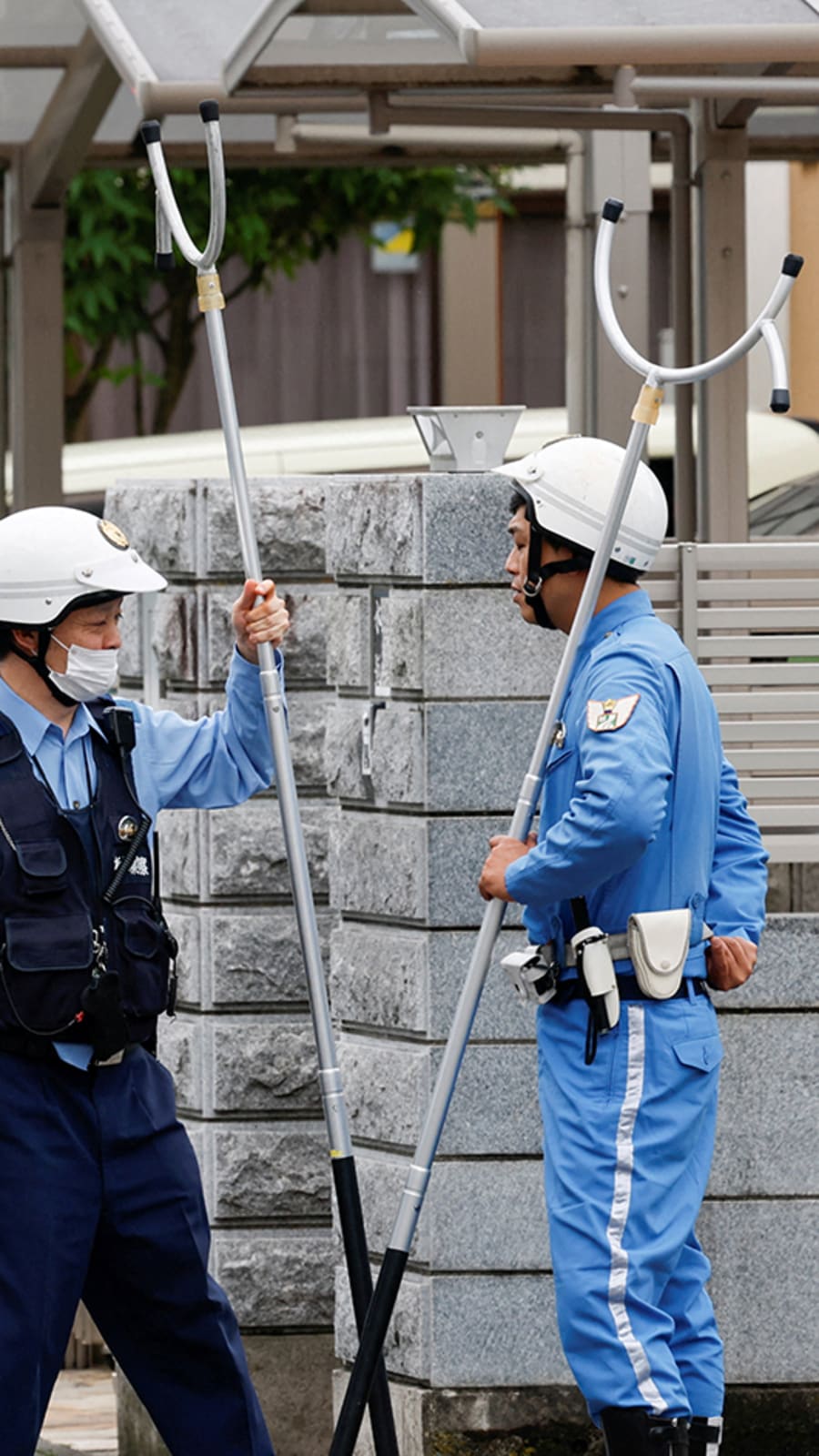 Japan city relieved as bear caught after roaming streets for days