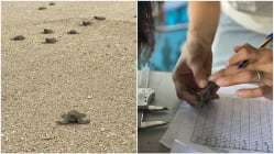 Related article image