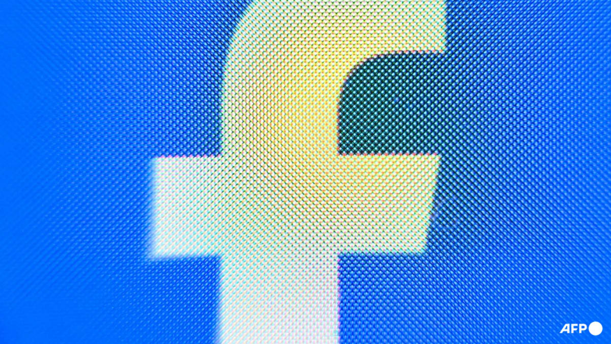 Vietnam jails ex-lawyer over Facebook posts