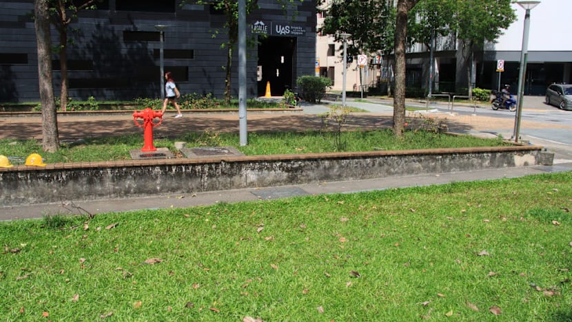 Man who watched alleged sexual assault of maid in Rochor field before raping her gets jail, caning