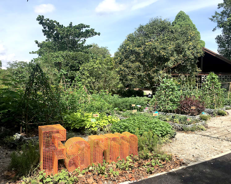 Jacob Ballas Children’s Garden now largest in Asia after S$12 million extension