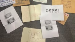 Related article image