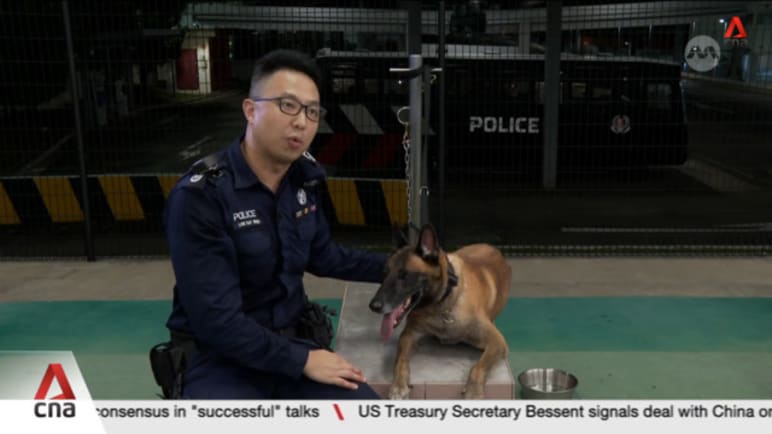 A look into a day of canine and handler as Singapore Police Force K-9 unit marks 70th anniversary A look into a day of canine and handler as Singapore Police Force K-9 unit marks 70th anniversary