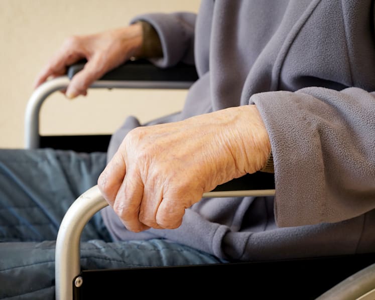 Workgroup set up to review law on maintenance of parents