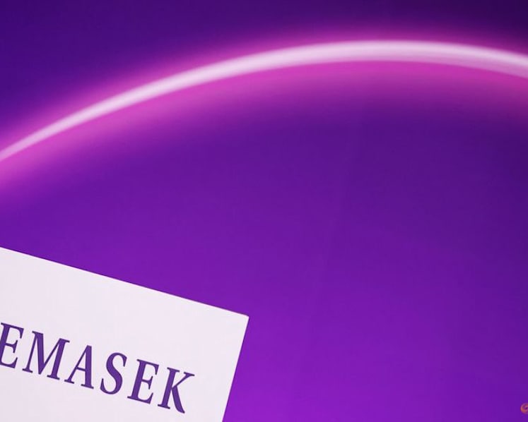 Market indices are not ‘direct benchmarks’ for Temasek’s financial performance: Chee Hong Tat