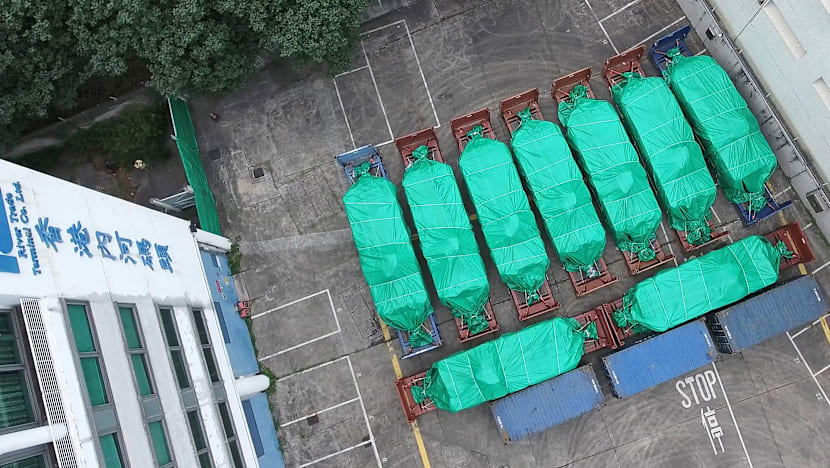 Terrex vehicles could be home by Feb 11: Ng Eng Hen