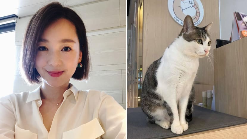 Taiwanese Actress Liu Yue Denies Abandoning Her Cat After Netizens Come Down Hard On Her Taiwanese Actress Liu Yue Denies Abandoning Her Cat After Netizens Come Down Hard On Her