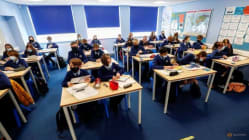 Related article image