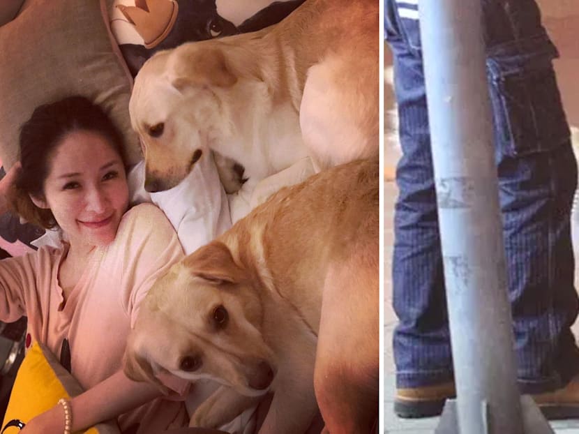 Dog That Bit Elva Hsiao On Her Cheek Is Reportedly Her Labrador Named Di Di