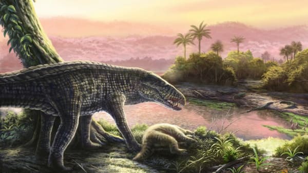 Fossils show unexpected last refuge of ferocious land-living crocs - Channel News Asia (Picture 2)