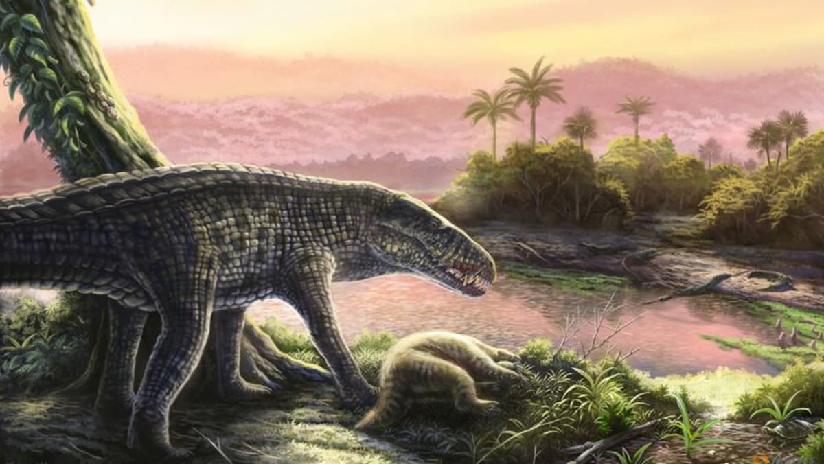 Fossils show unexpected last refuge of ferocious land-living crocs - Channel News Asia (Picture 1)