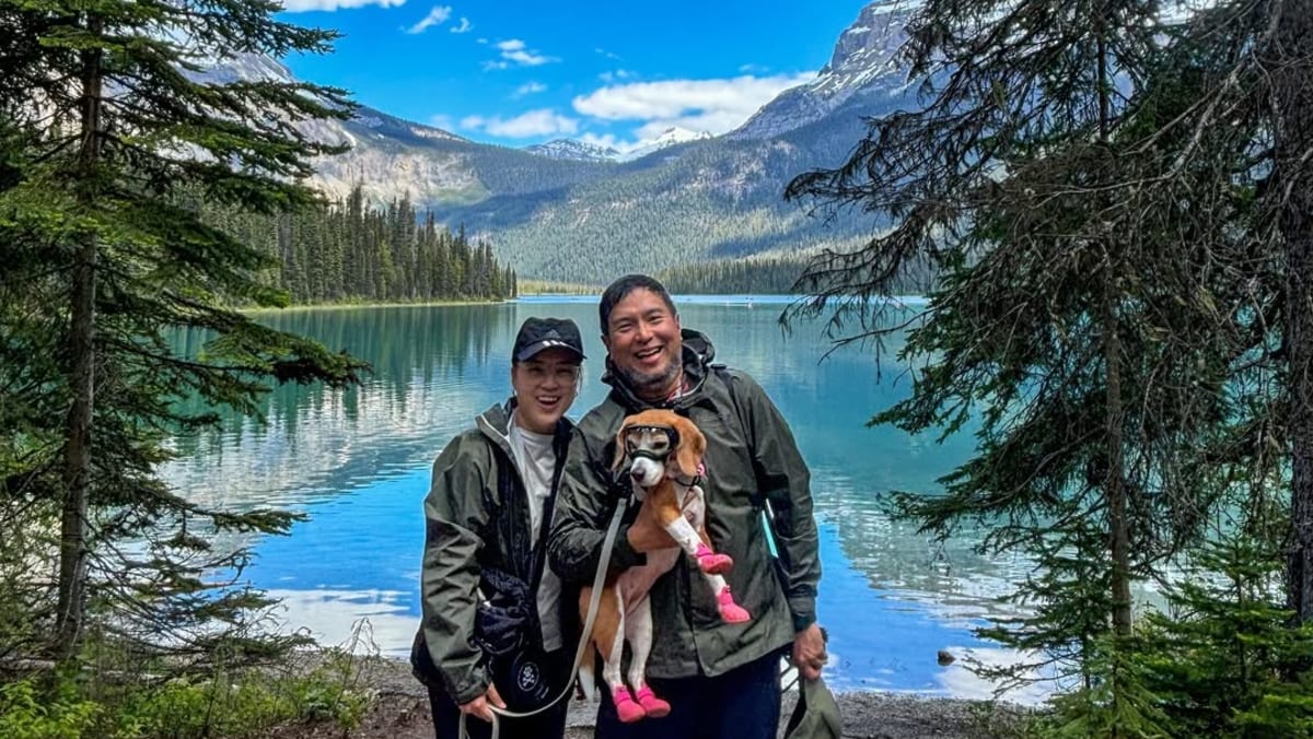 Singaporean couple quits jobs to travel 'full-time' with dog