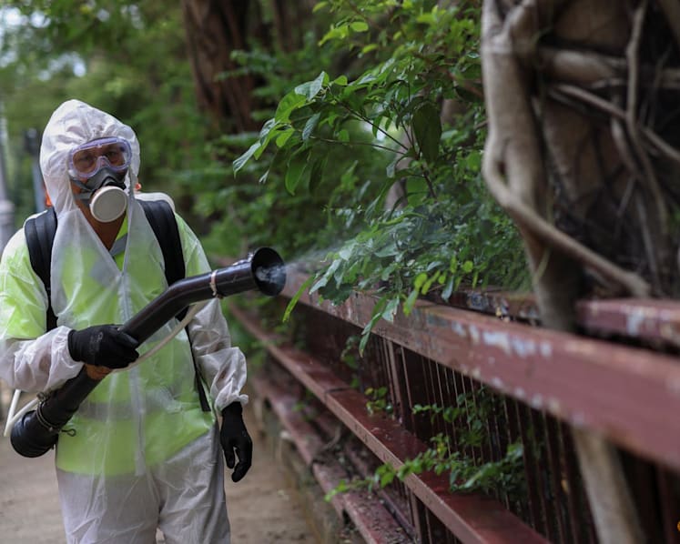 Chikungunya in China: What you need to know