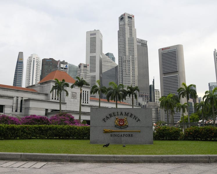 CNA Explains: Repealing a law and amending the Singapore Constitution