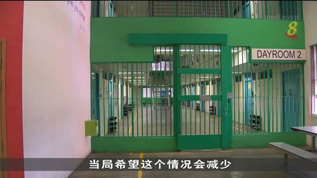 四成释囚五年内重犯 杨莉明：将加强改造计划