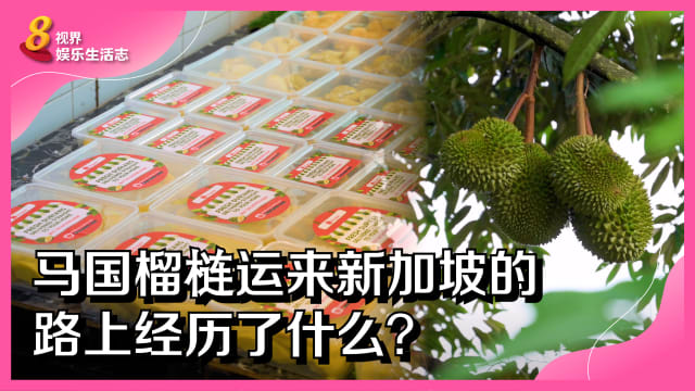 马国榴梿运来新加坡的路上经历了什么？