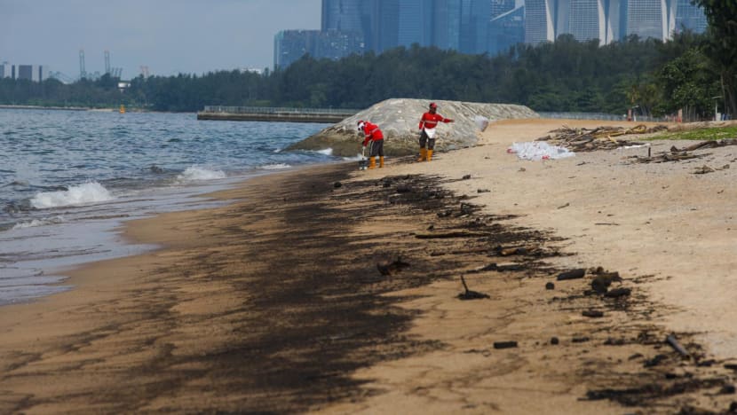 Rental deferral measures in the works to help businesses affected by oil spill on 'case-by-case basis': Grace Fu
