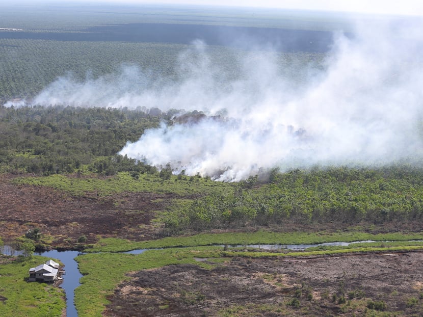 Asean agrees on plan for a haze-free region by 2020