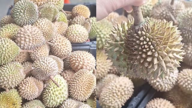 #sgdeals 3个猫山王榴梿，仅售$10！