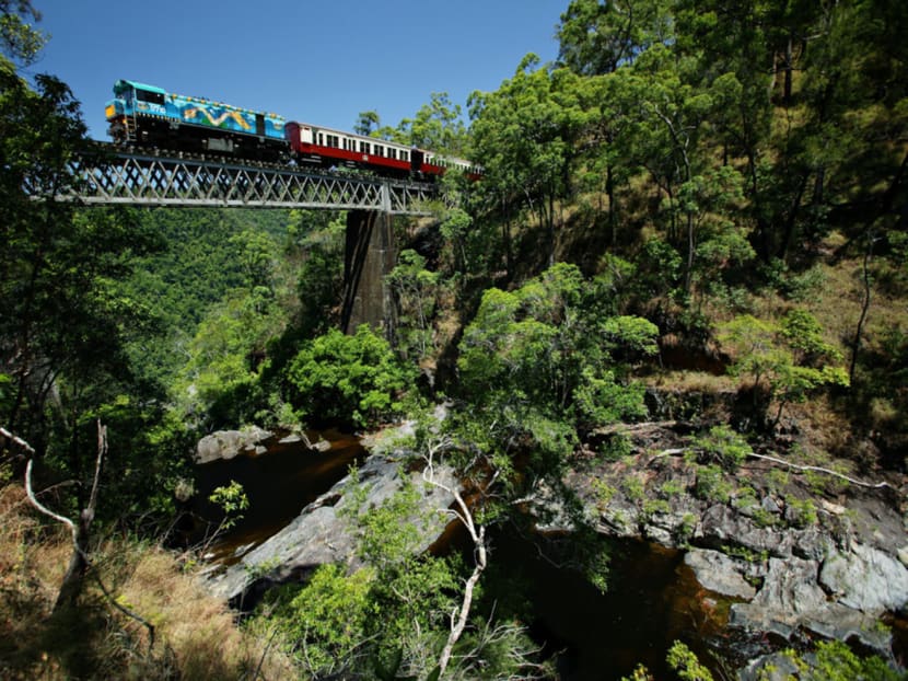 Cairns: More than just the Great Barrier Reef