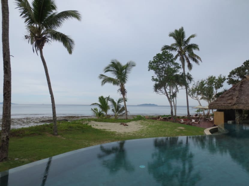 Of bulas and bull sharks