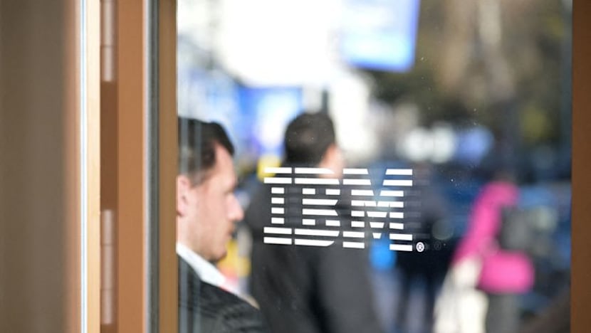 IBM falls as analysts question staying power of software rebound
