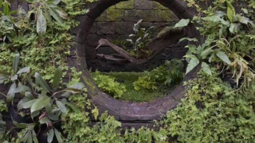Related article image