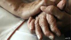 Related article image