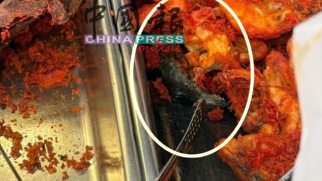 马国槟城小贩中心出现炸老鼠 九摊位被勒令关闭14天
