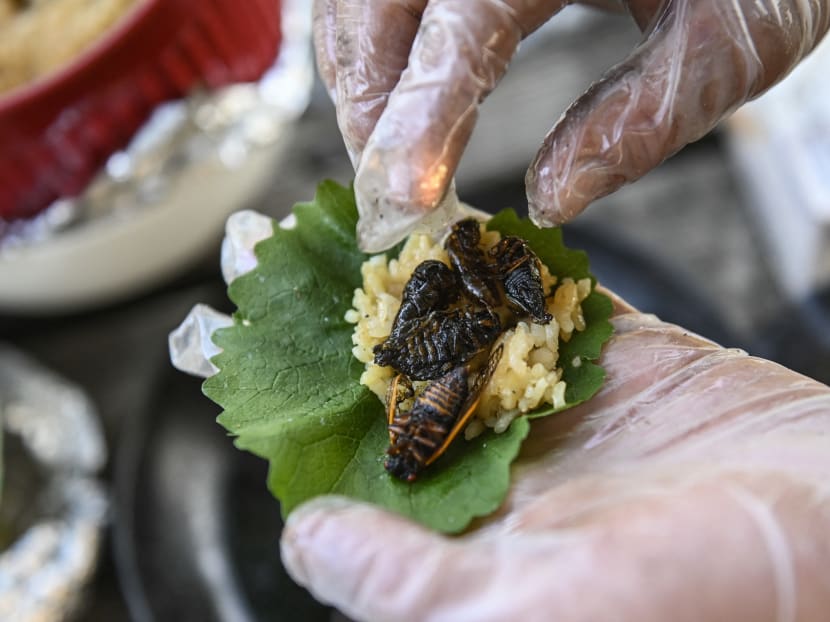 Fried cicadas are rolled into a sushi roll by Chef Bun Lai at Fort Totten Park in Washington, US on May 23, 2021.