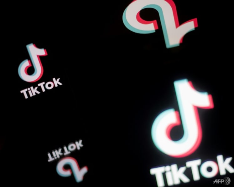 Initiatives in place to restrict inflammatory content ahead of state polls, says TikTok Malaysia
