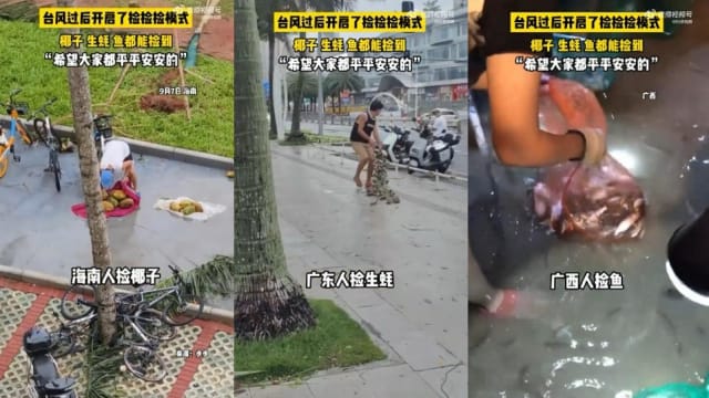 台风过境留下遍地海鲜 中国沿海村民满载而归