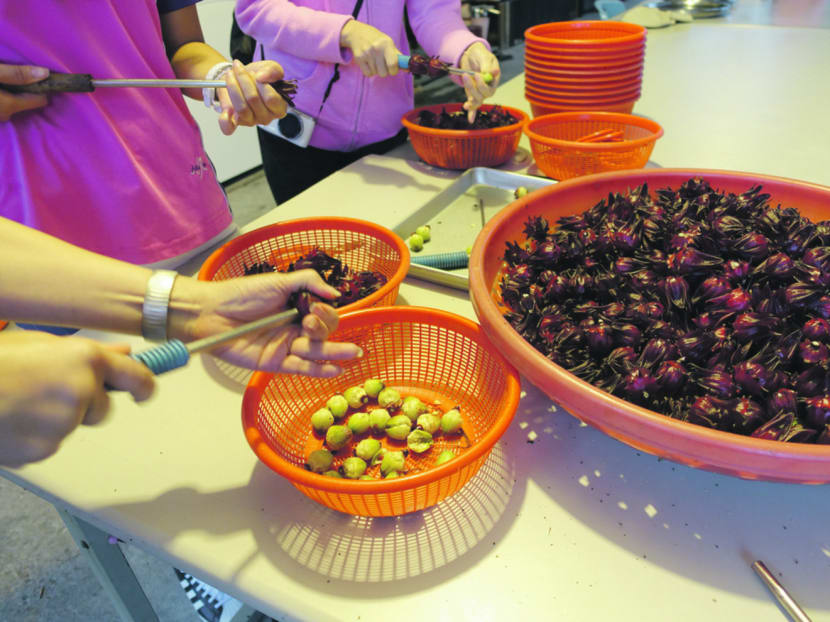 Dig into the heart of Taiwan’s country life