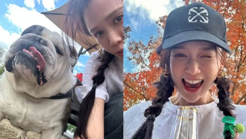 Taiwanese Actress Joe Chen Slammed For Speaking Out For Stray Animals After Vicious Dog Attacks In China