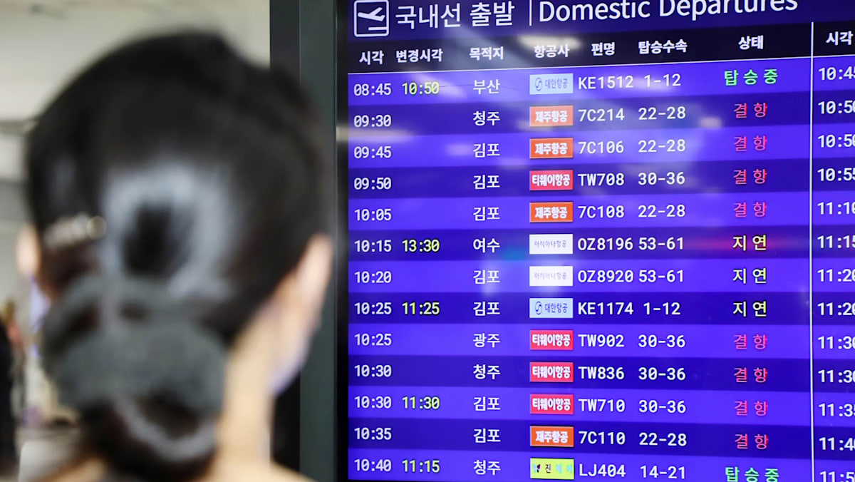韩国济州岛遭强风侵袭 逾百趟航班被取消 - 8world