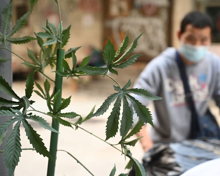 Commentary: Hong Kong's ban of CBD products signals strict post-COVID era as city reopens