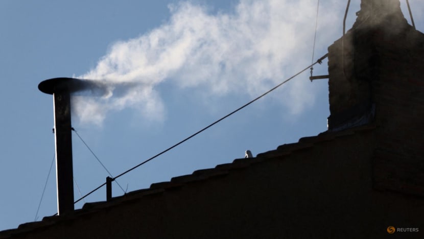 White smoke signals a new pope has been chosen at the Vatican