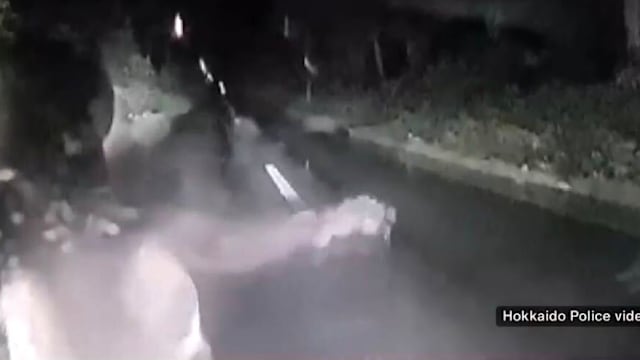 北海道棕熊冲撞汽车 车头留下凹痕和破洞