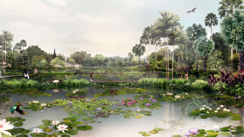 Jurong Lake Gardens West to open in early 2019; largest water lilies collection part of attraction