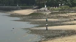 Related article image