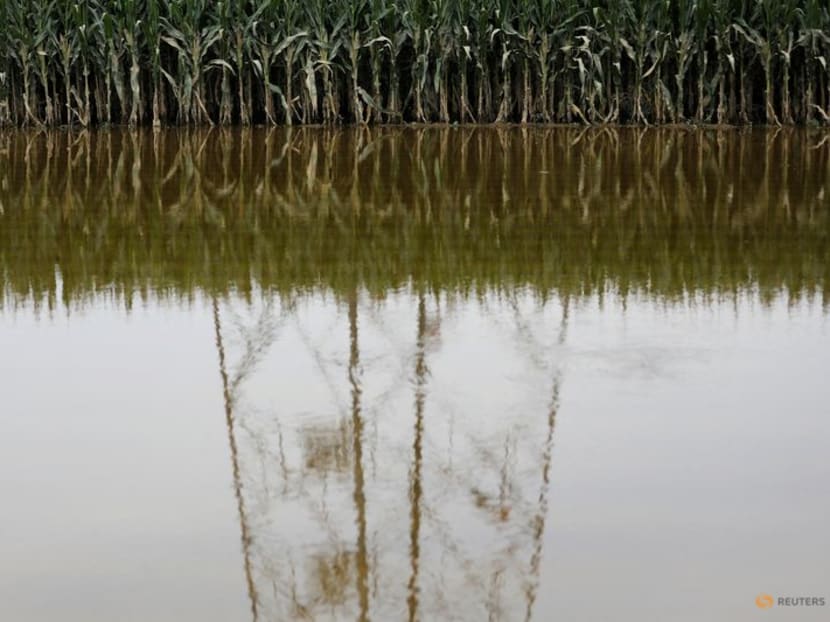 FFILE PHOTO:An electrical pylon is seen reflected in the floodwaters at a flooded corn farm after the rains and floods brought by remnants of Typhoon Doksuri, in Zhuozhou, Hebei province, China August 7, 2023. REUTERS/Tingshu Wang/File Photo