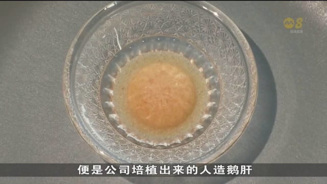 日本生物科技创业公司 利用细胞培养技术培植鹅肝