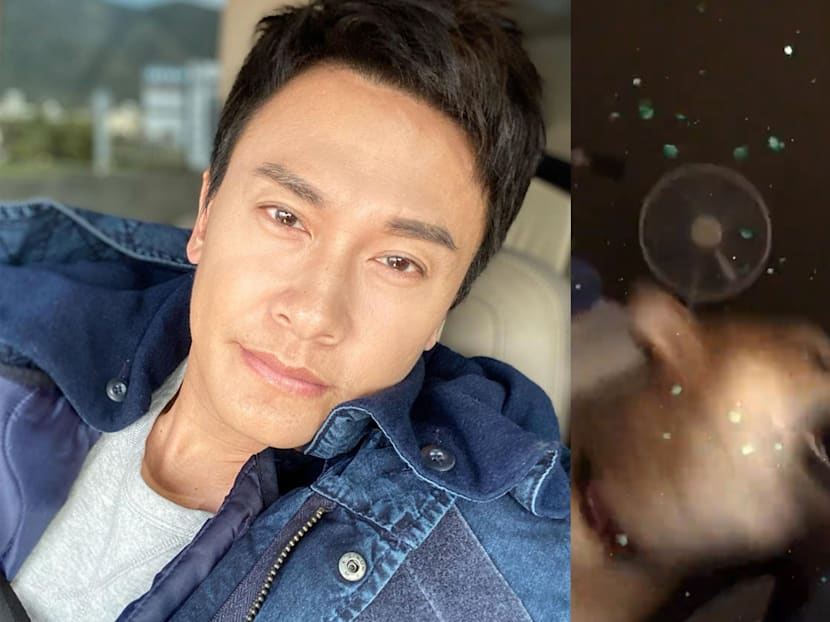 Ex Mediacorp Star Jeff Wang Got Bitten By His Dog On Live Stream