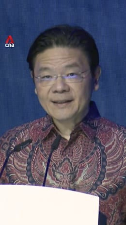 Singapore must guard against divisions over race, religion and nationality: PM Wong