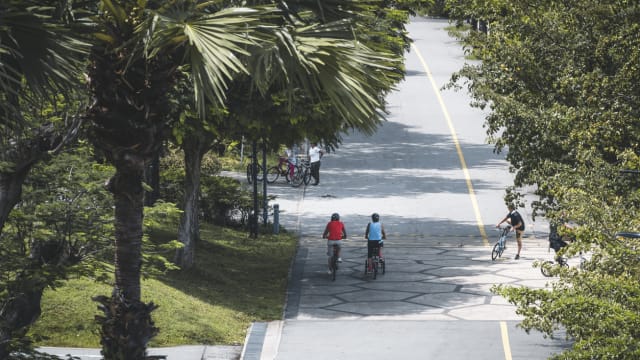 六名年轻人在公路骑脚踏车炫技 明天被控上法庭